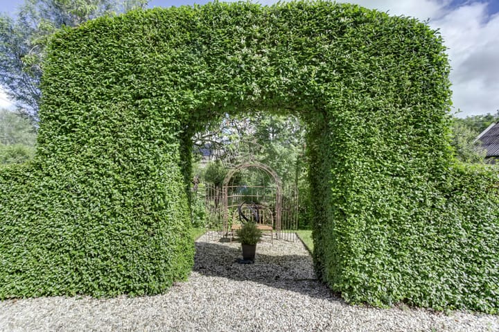 Foto 98 van Oost-Vlisterdijk 21