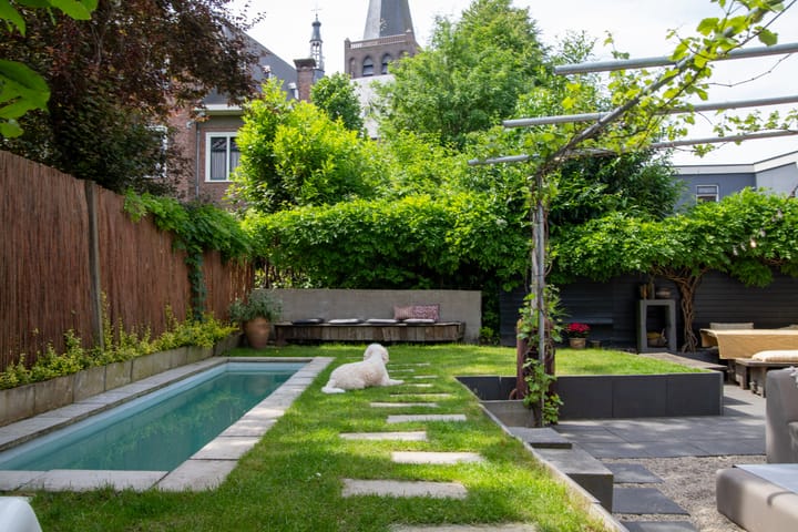 Foto 50 van Nieuwstad 10