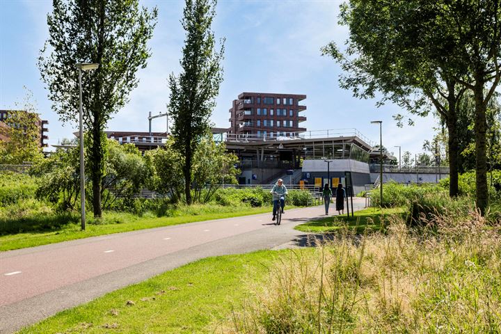 Bekijk foto 40 van Limbostraat 55