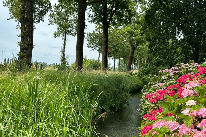 Bekijk foto 50 van Rijndijk 3