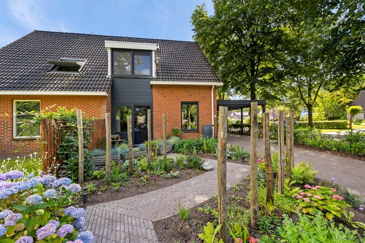 View photo 3 of Boerhoorn 23