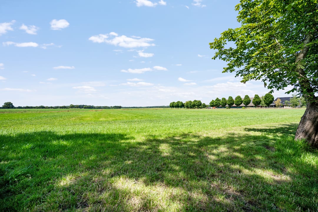 Foto 53 van Dwarsweg 8