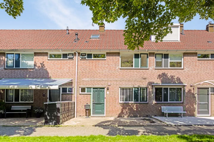 undefined main image