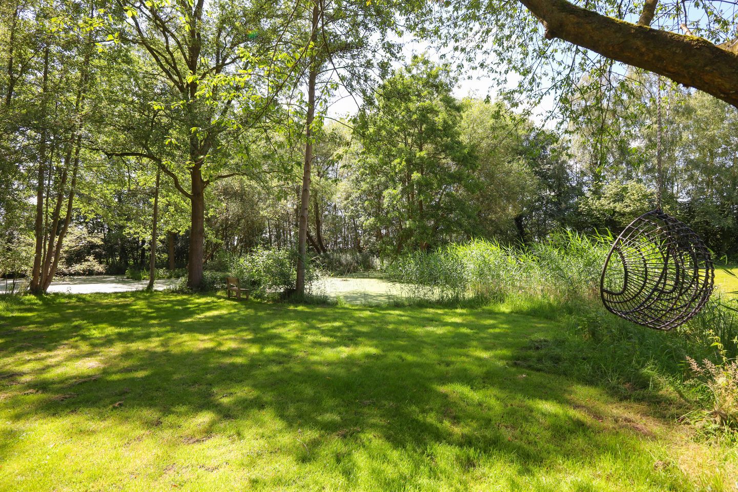 Foto 35 van Lemseloseveldweg 12