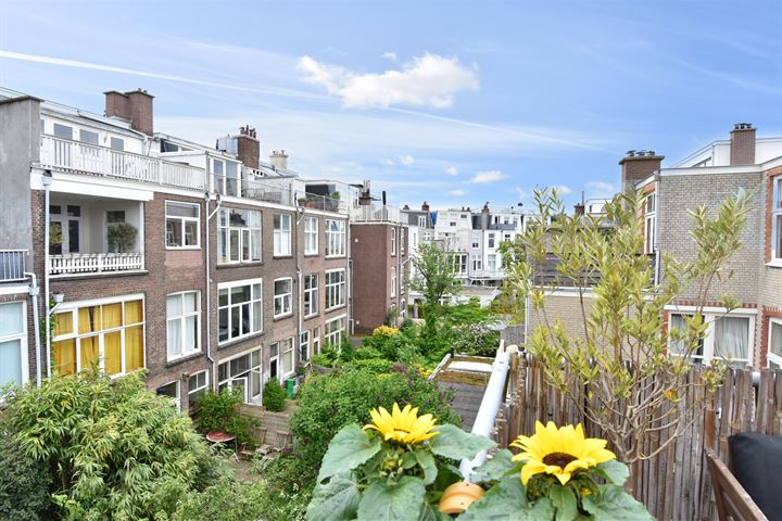 Bekijk foto 45 van Snelliusstraat 41