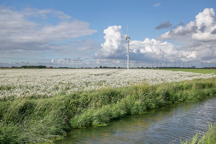 Bekijk foto 6 van Langeweg 72A