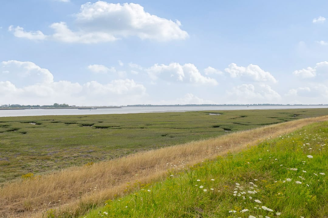 Photo 11 of Langeweg 72A