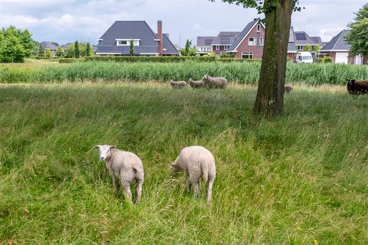 Bekijk foto 51 van Ridderspoorlaan 14