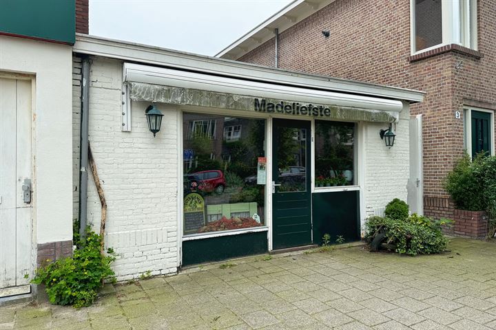 Bekijk foto 3 van Hoofmanstraat 1-A