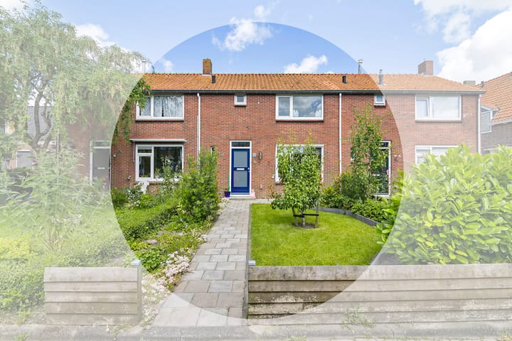 undefined main image