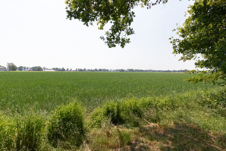 Photo 24 of Bosweg 17-A2