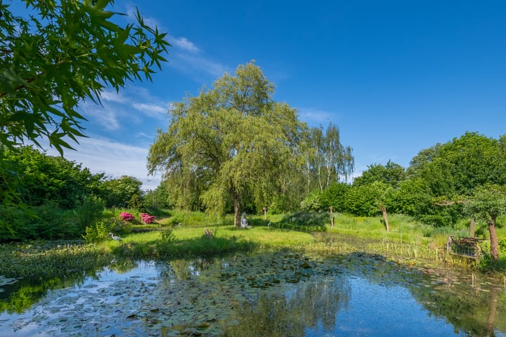 Foto 30 van Meddoseweg 22