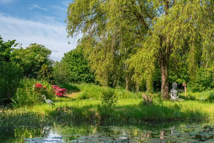 Foto 34 van Meddoseweg 22