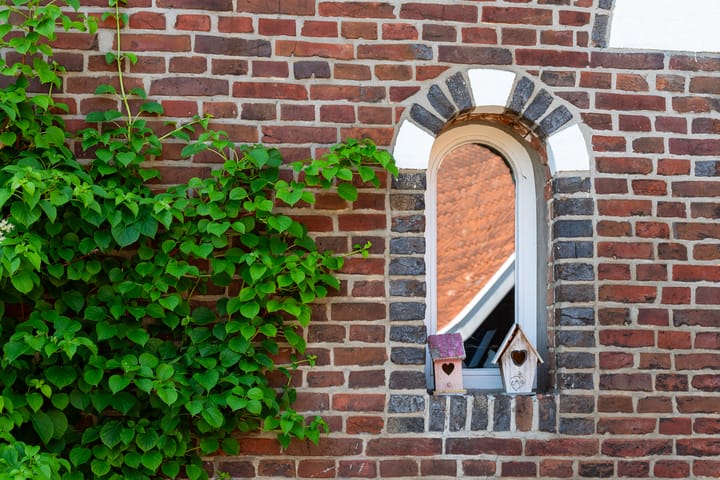 Foto 46 van Meddoseweg 22