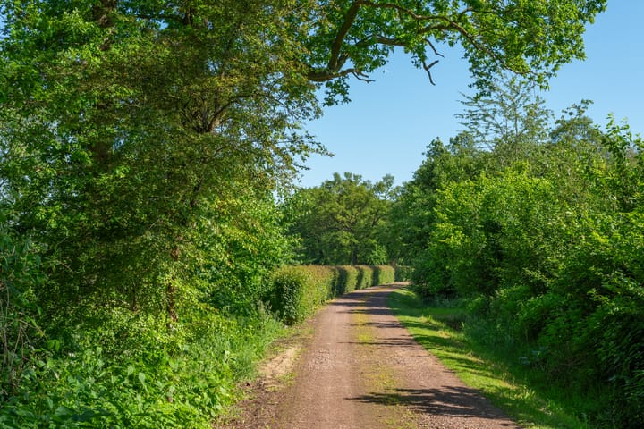 Foto 60 van Meddoseweg 22