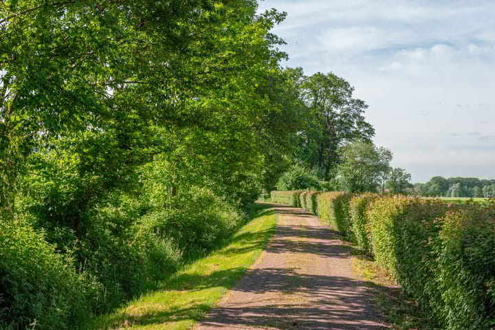 Foto 62 van Meddoseweg 22