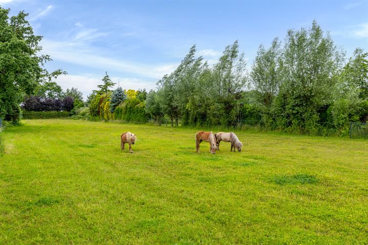 Bekijk foto 31 van Strijbeekseweg 55-A