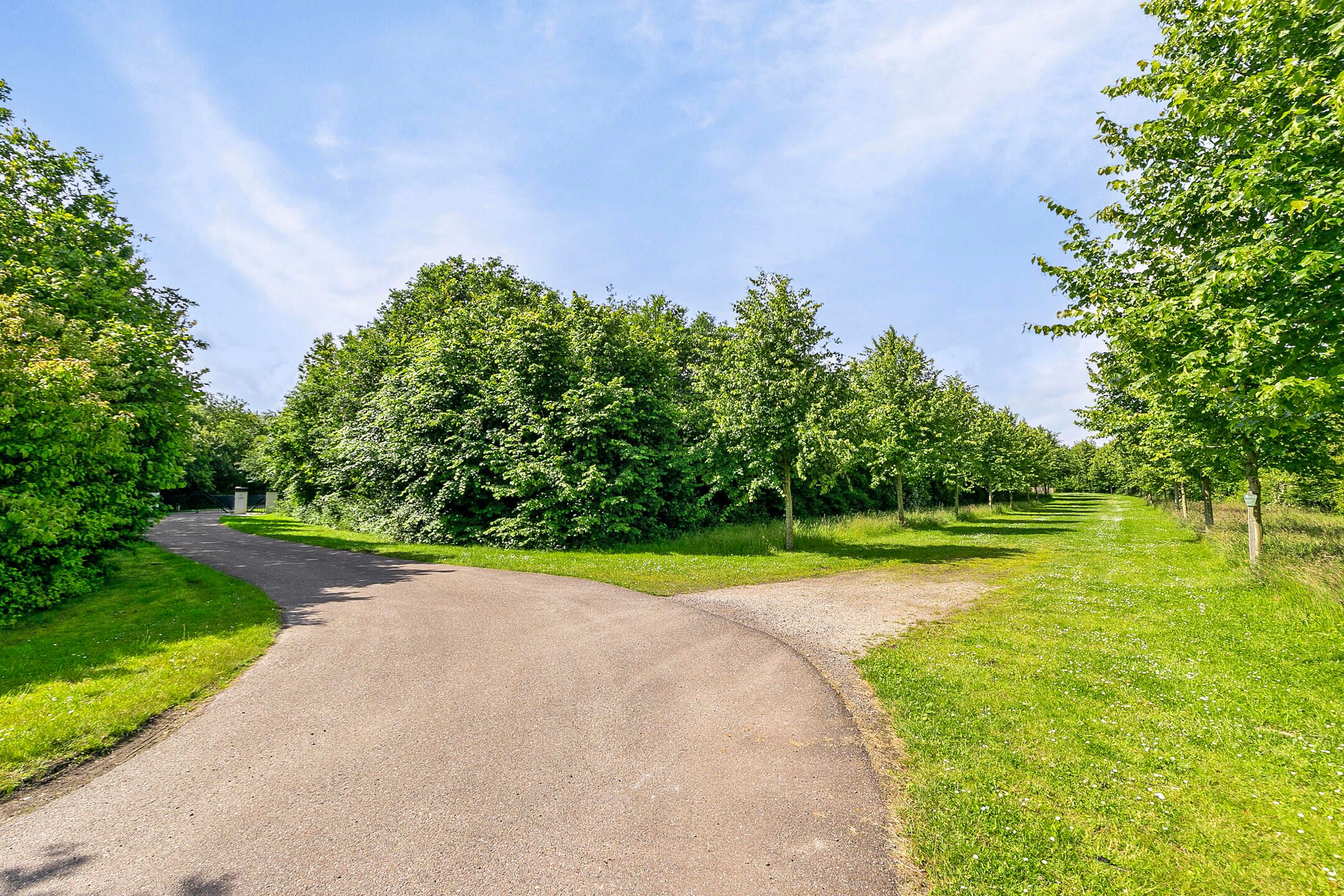 Foto 21 van Lindelaan 1