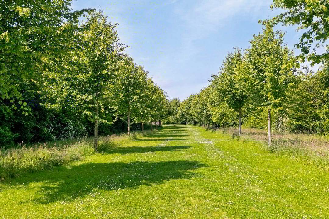 Foto 23 van Lindelaan 1