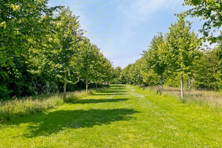 Foto 23 van Lindelaan 1