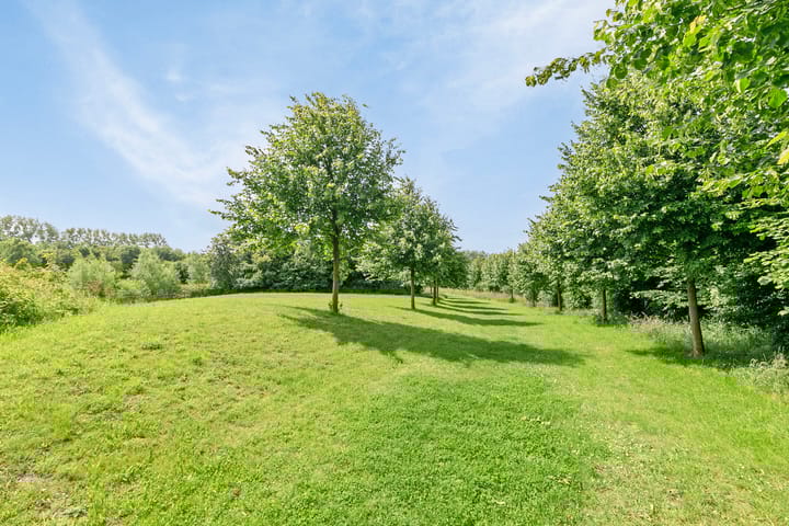 Foto 25 van Lindelaan 1