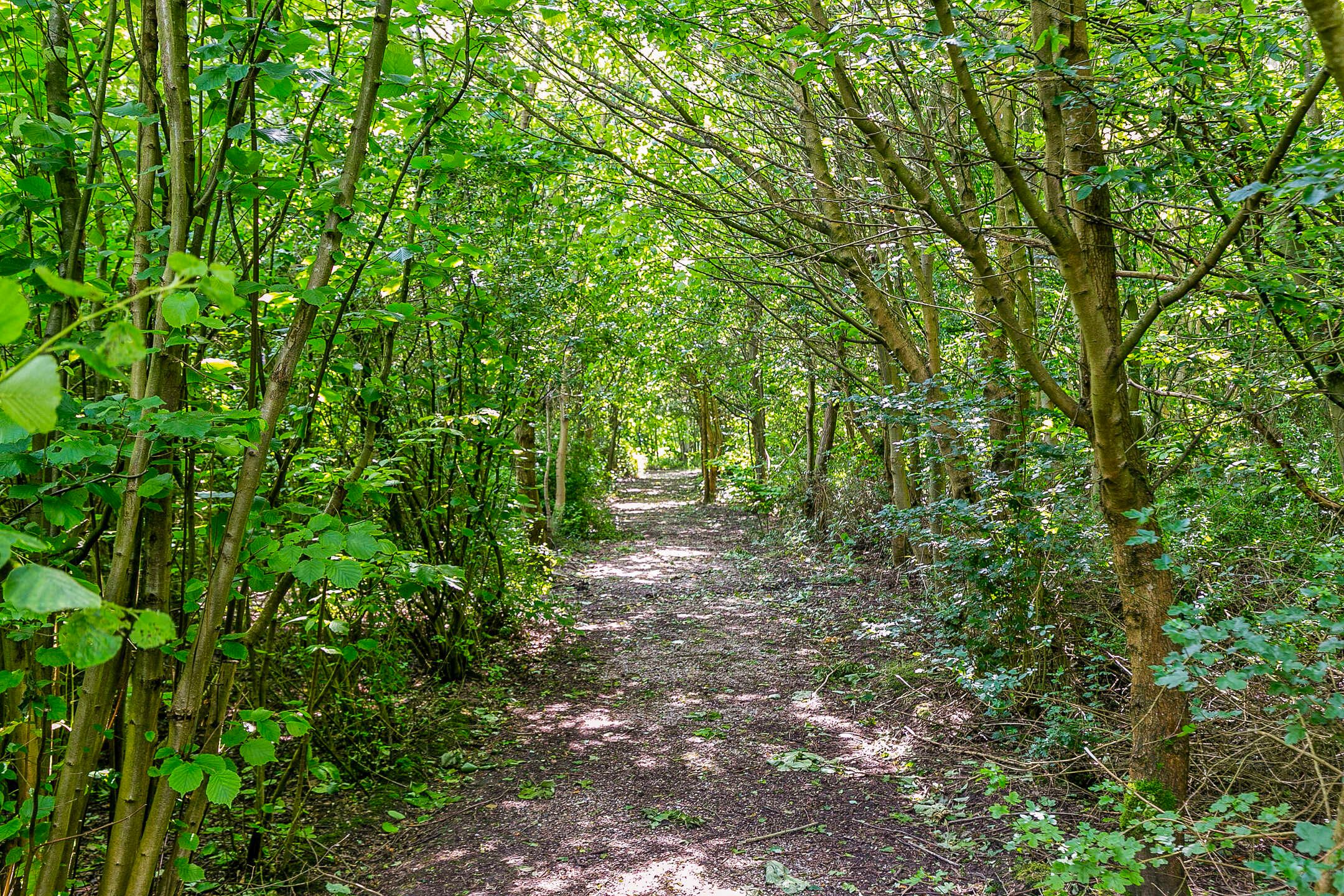 Foto 27 van Lindelaan 1