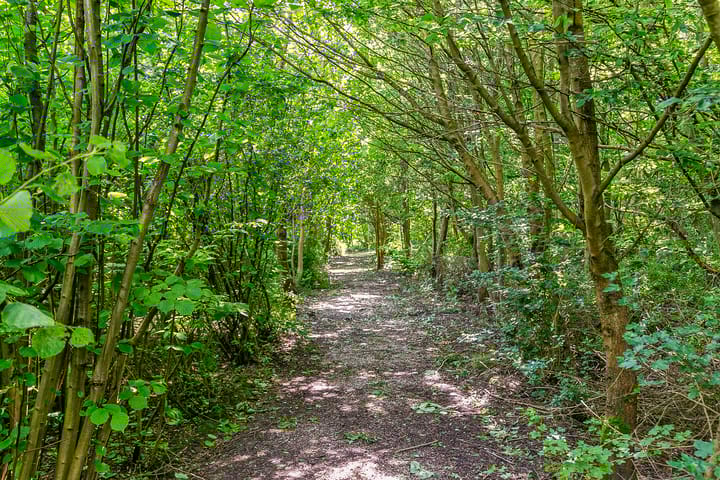 Foto 27 van Lindelaan 1