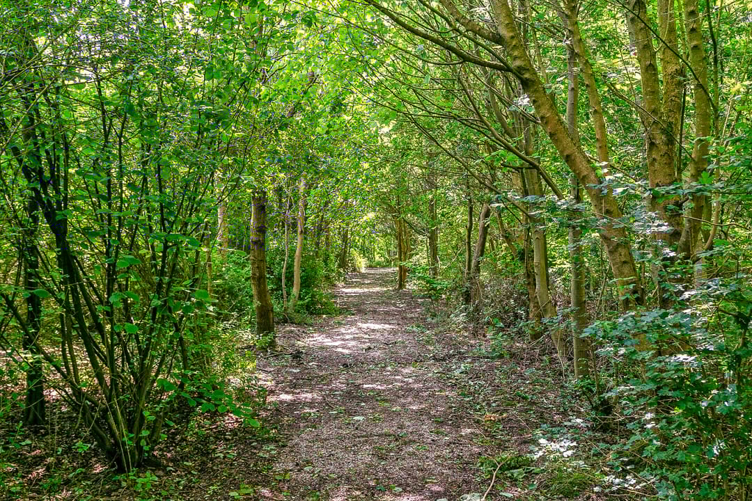 Foto 28 van Lindelaan 1