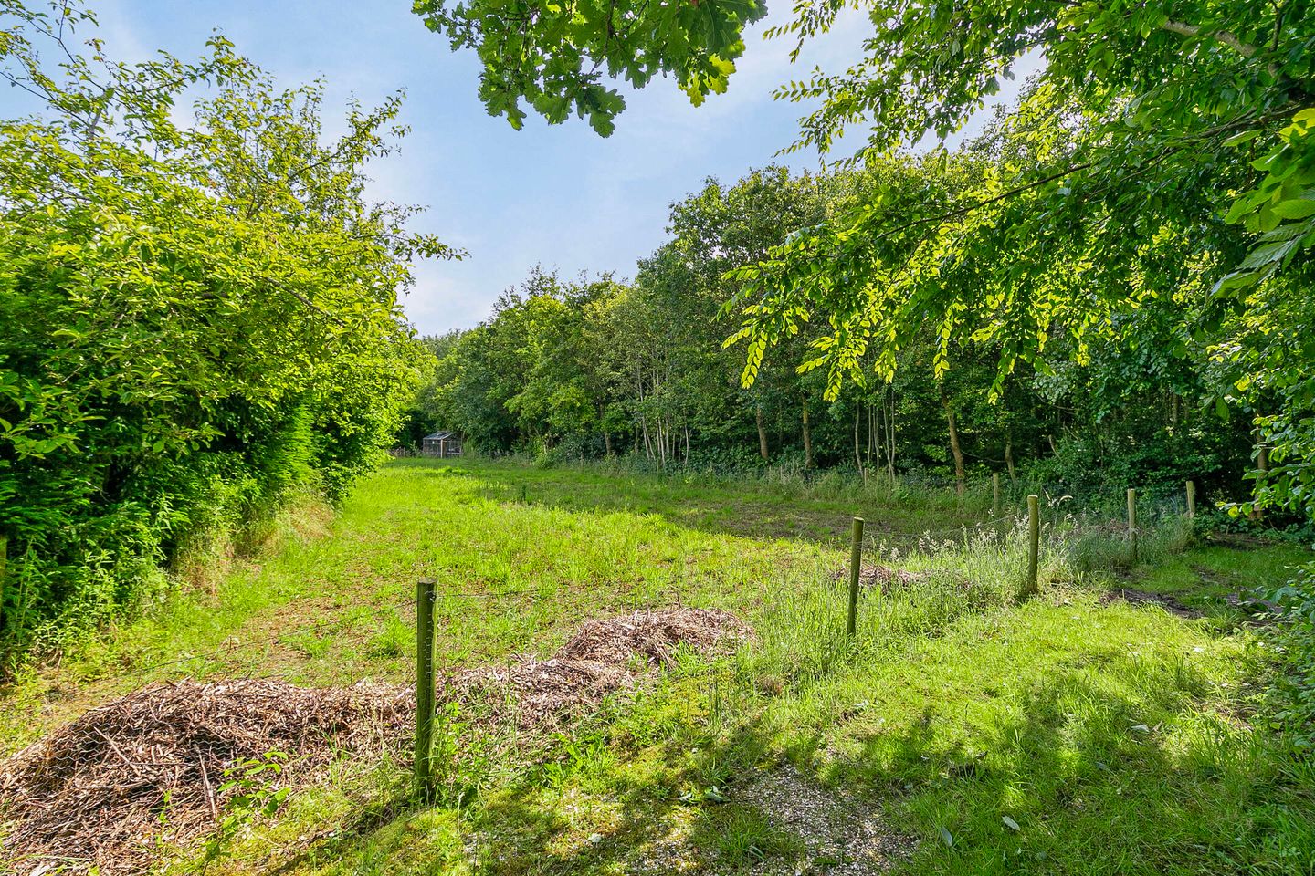 Foto 29 van Lindelaan 1