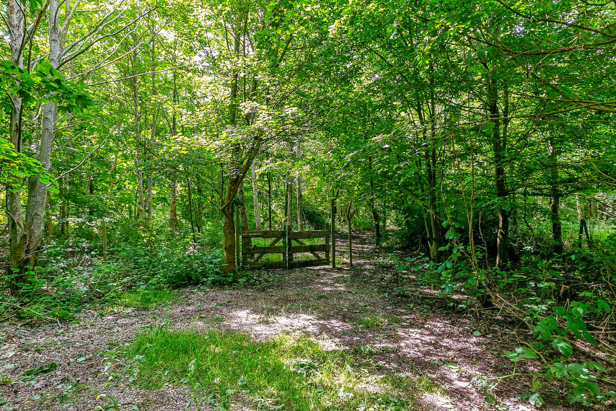 Foto 30 van Lindelaan 1