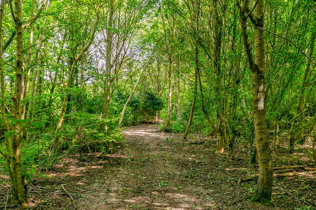 Foto 31 van Lindelaan 1