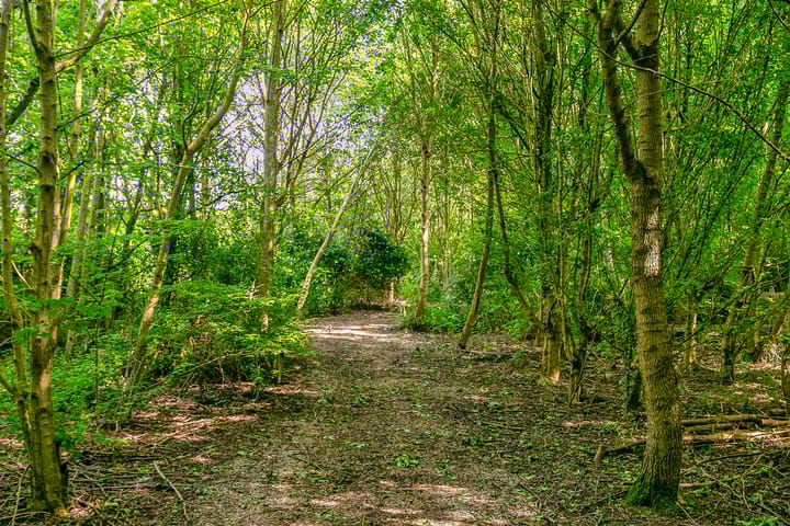 Foto 31 van Lindelaan 1