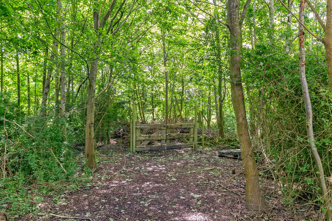 Foto 32 van Lindelaan 1