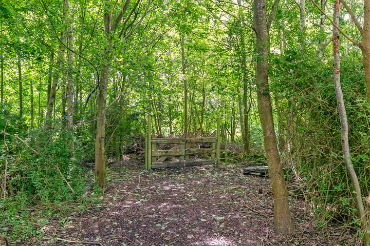 Foto 32 van Lindelaan 1