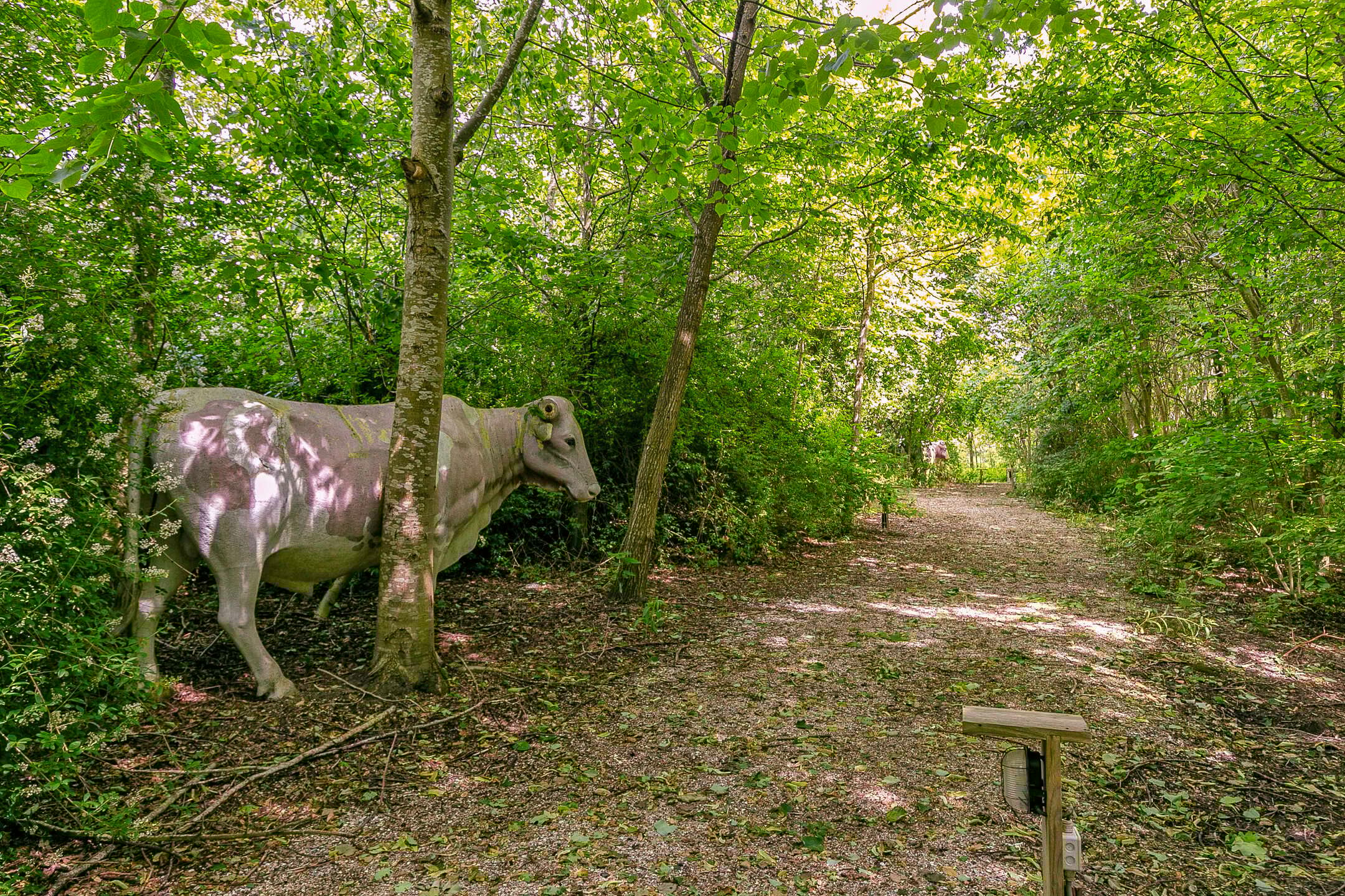 Foto 36 van Lindelaan 1