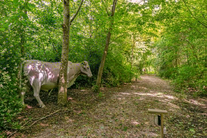 Foto 36 van Lindelaan 1