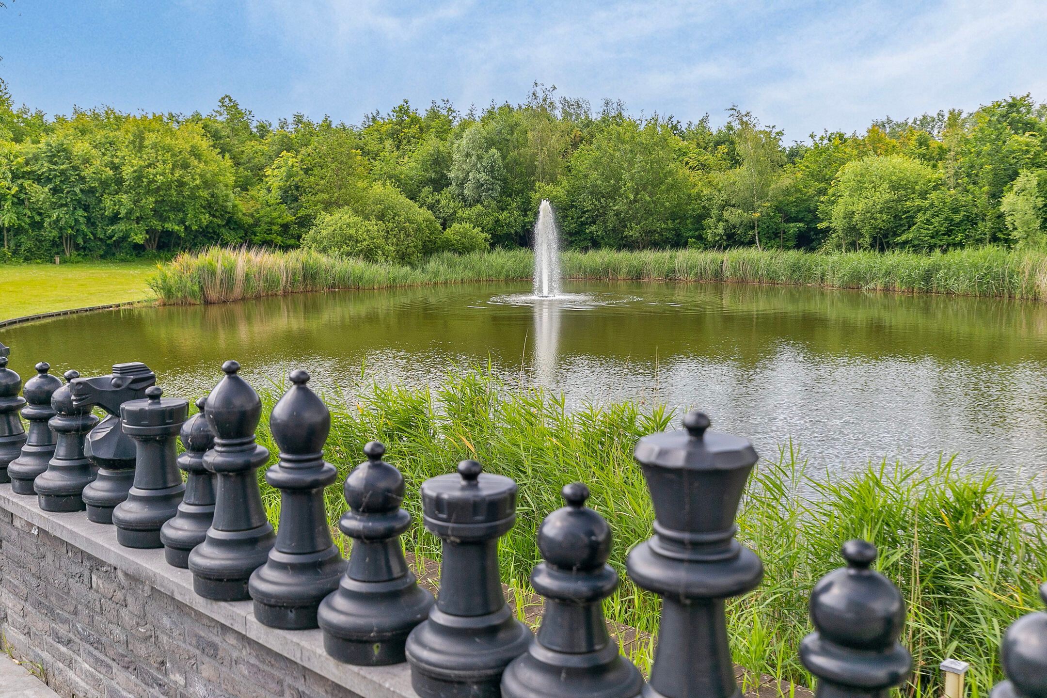 Foto 39 van Lindelaan 1