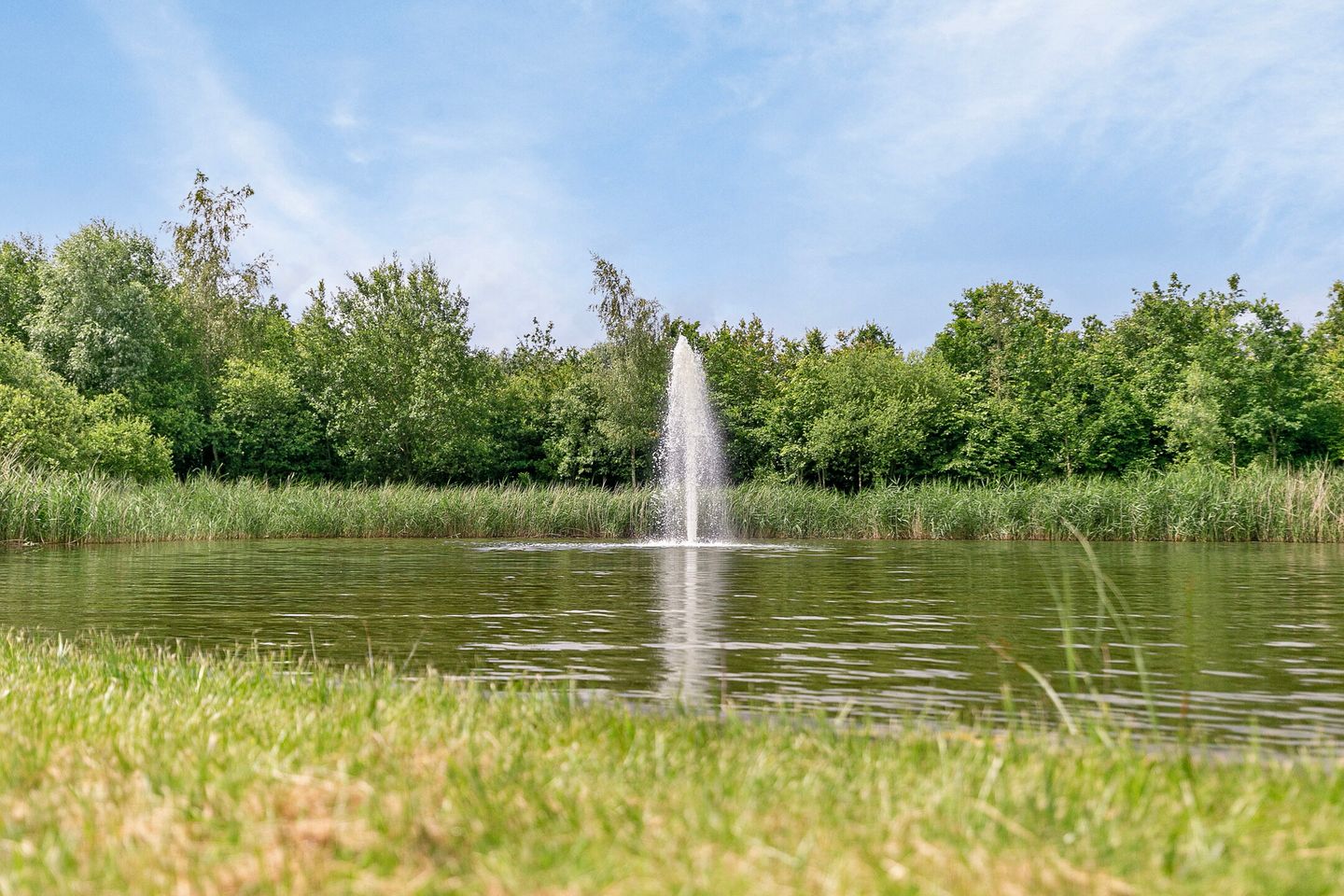 Foto 40 van Lindelaan 1