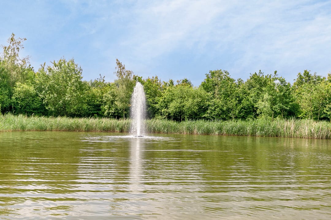 Foto 41 van Lindelaan 1