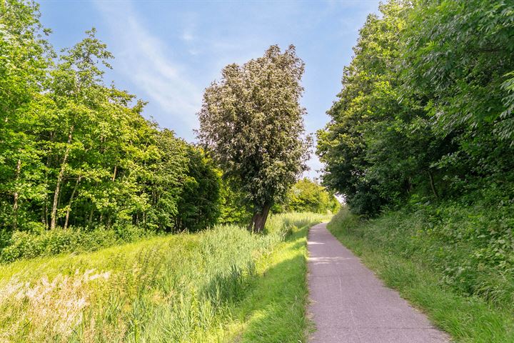 Bekijk foto 46 van Lindelaan 1