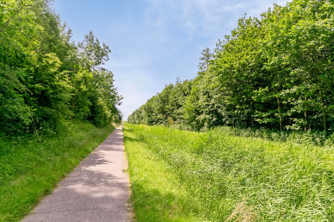 Foto 47 van Lindelaan 1