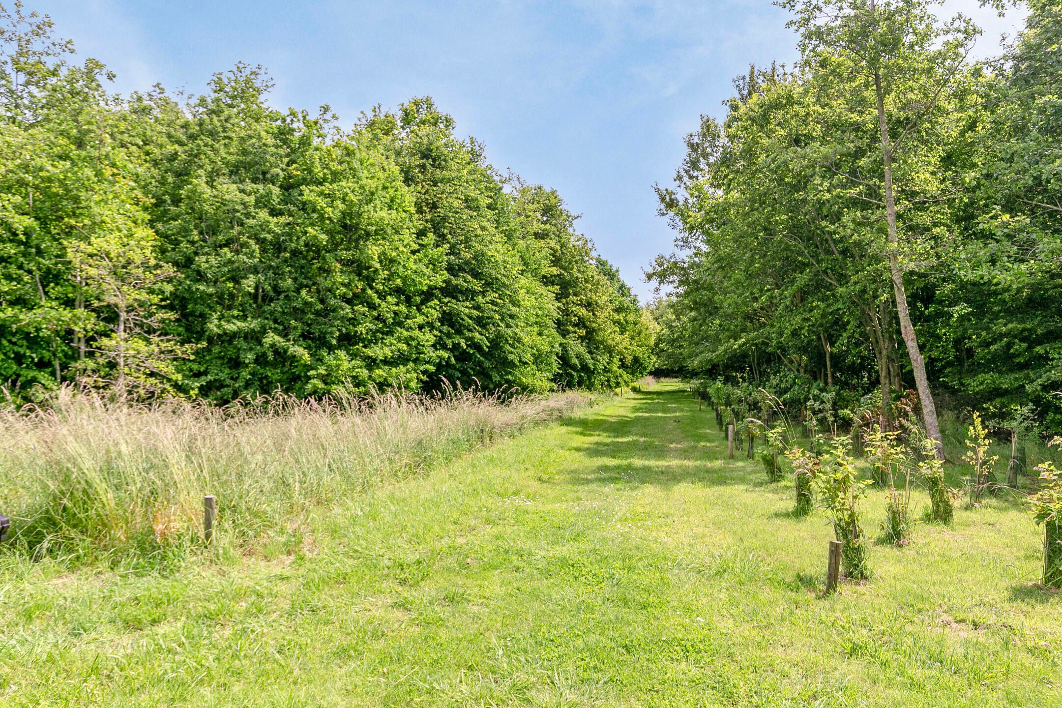 Foto 48 van Lindelaan 1