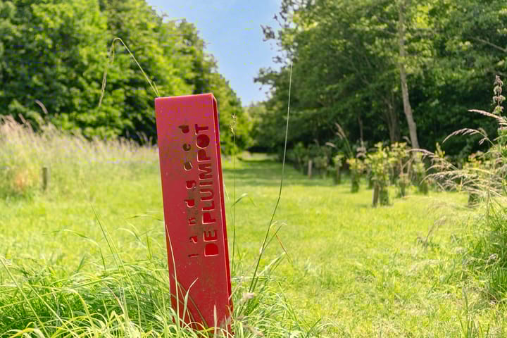 Foto 49 van Lindelaan 1