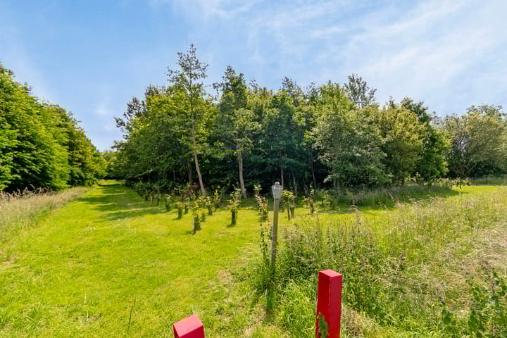 Foto 50 van Lindelaan 1