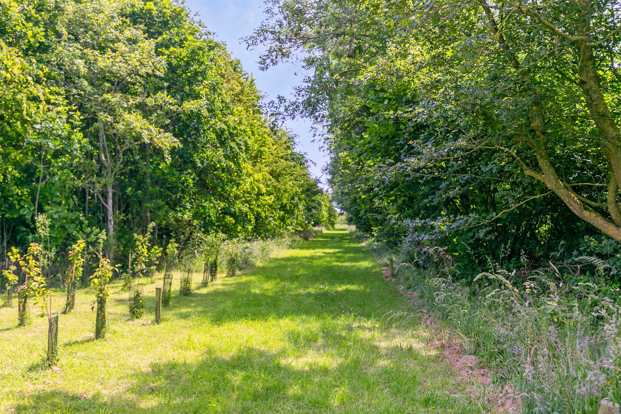 Foto 51 van Lindelaan 1