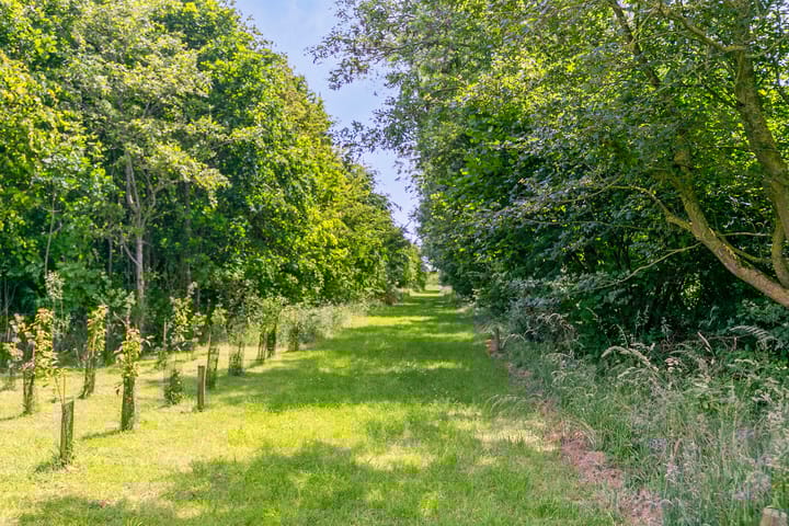 Foto 51 van Lindelaan 1