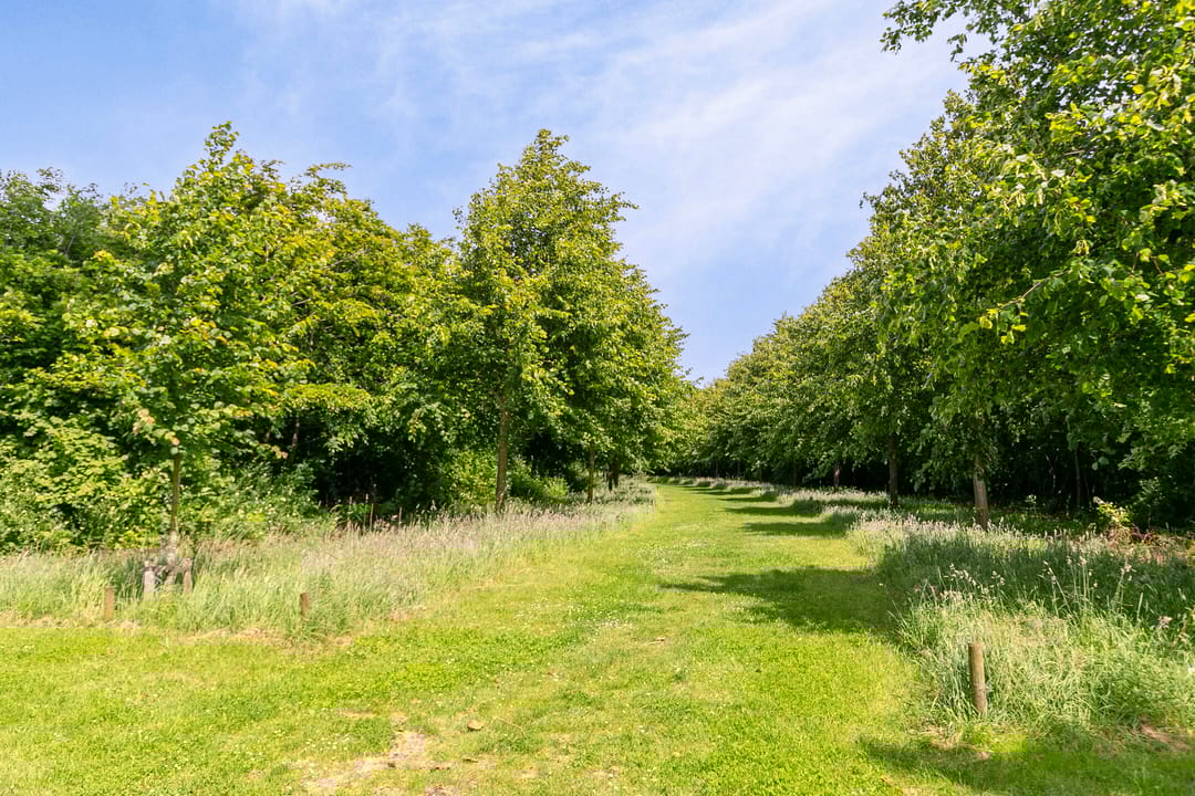 Foto 52 van Lindelaan 1