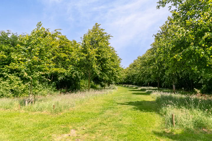 Foto 52 van Lindelaan 1