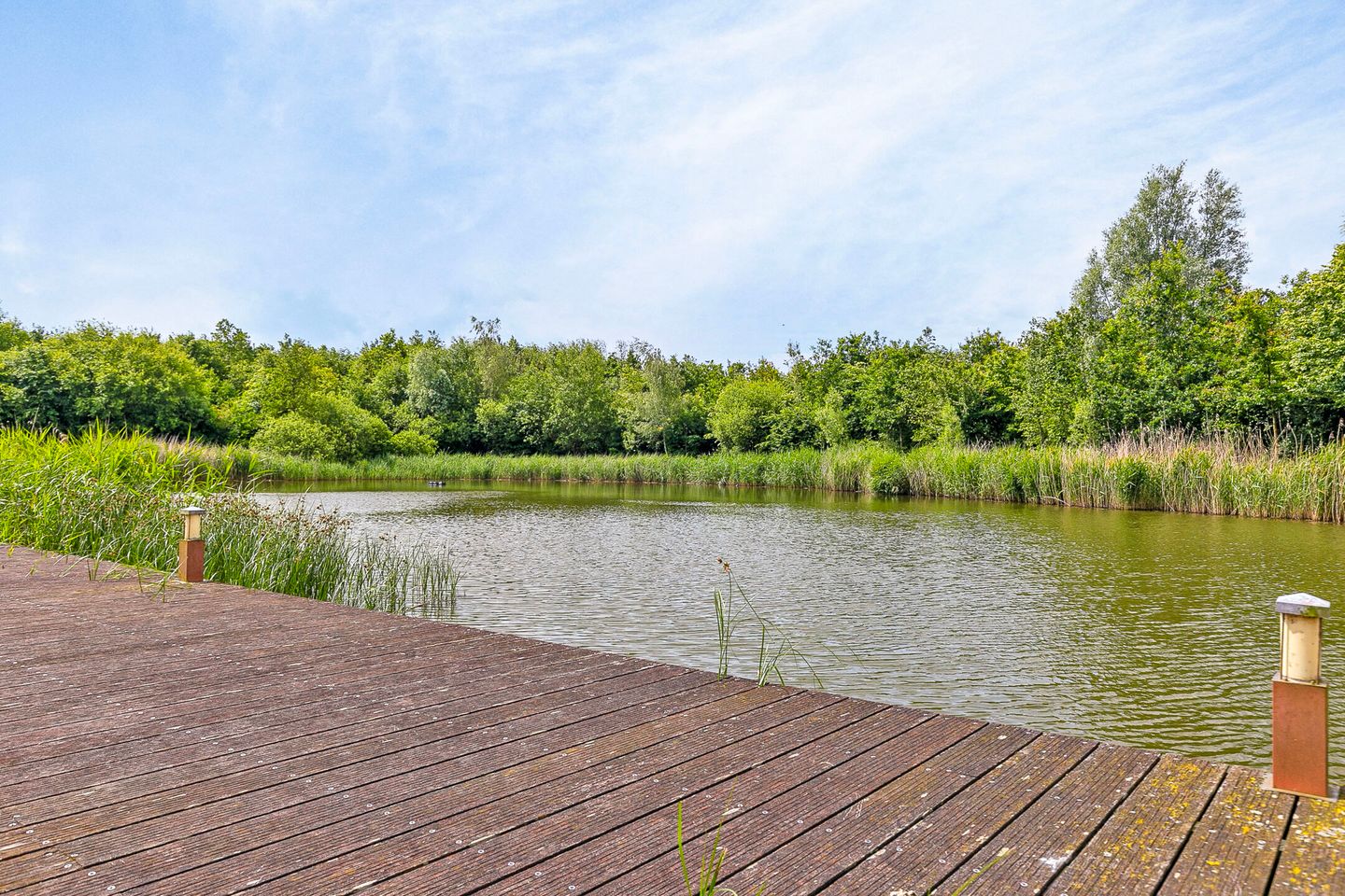 Foto 55 van Lindelaan 1