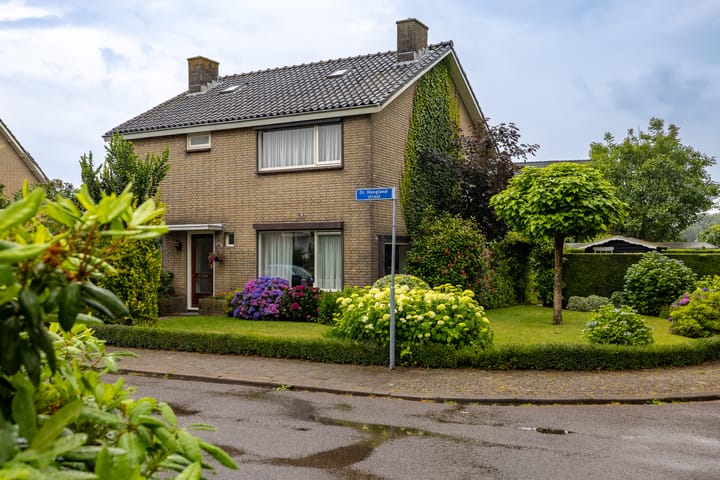 undefined main image